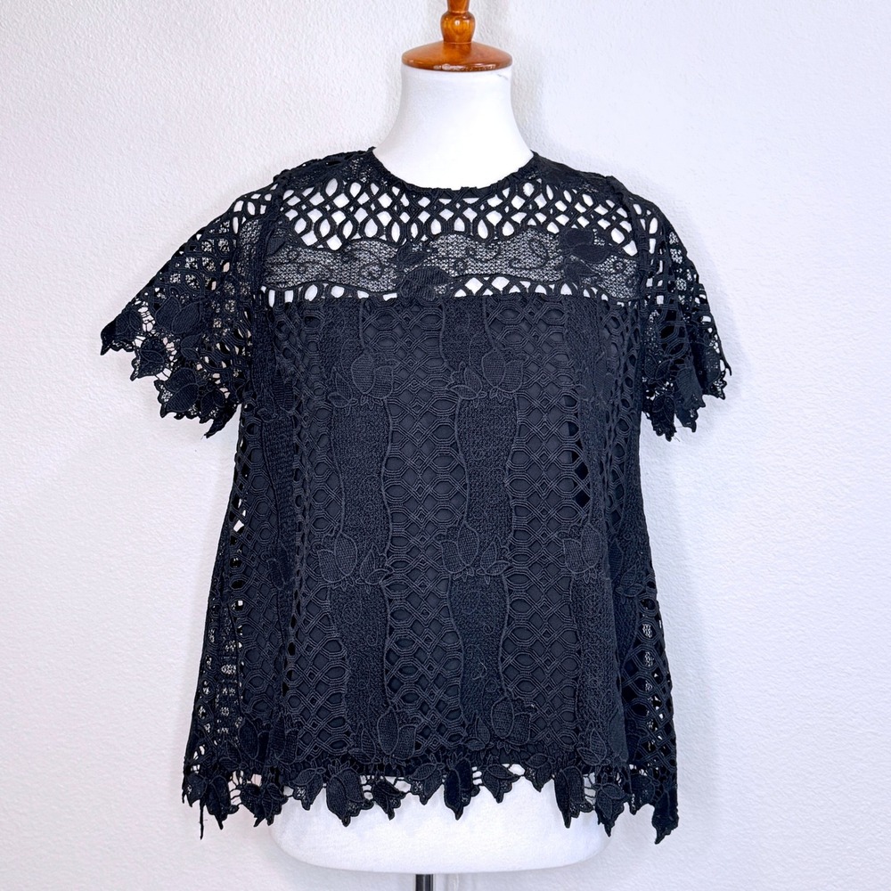 ALLISON‎ New York Whimsigoth Black Lace Top XS Short Sleeve Lined Goth